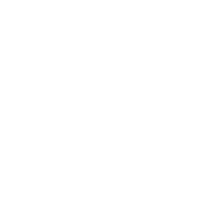 Incarnation Fellows